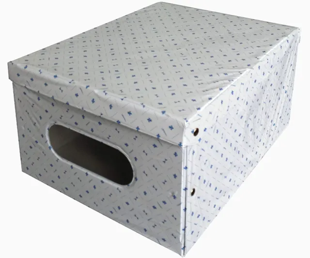 Lavatelli Kanguru scatola PVC 40x50x25 cm con finestra