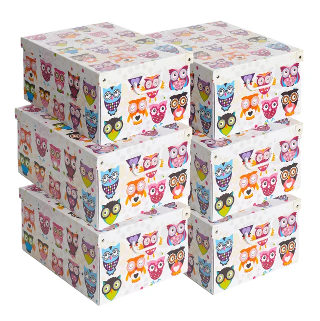 Lavatelli Gufetti Scatole Armadio 39x50x24 Set 6 Cartone