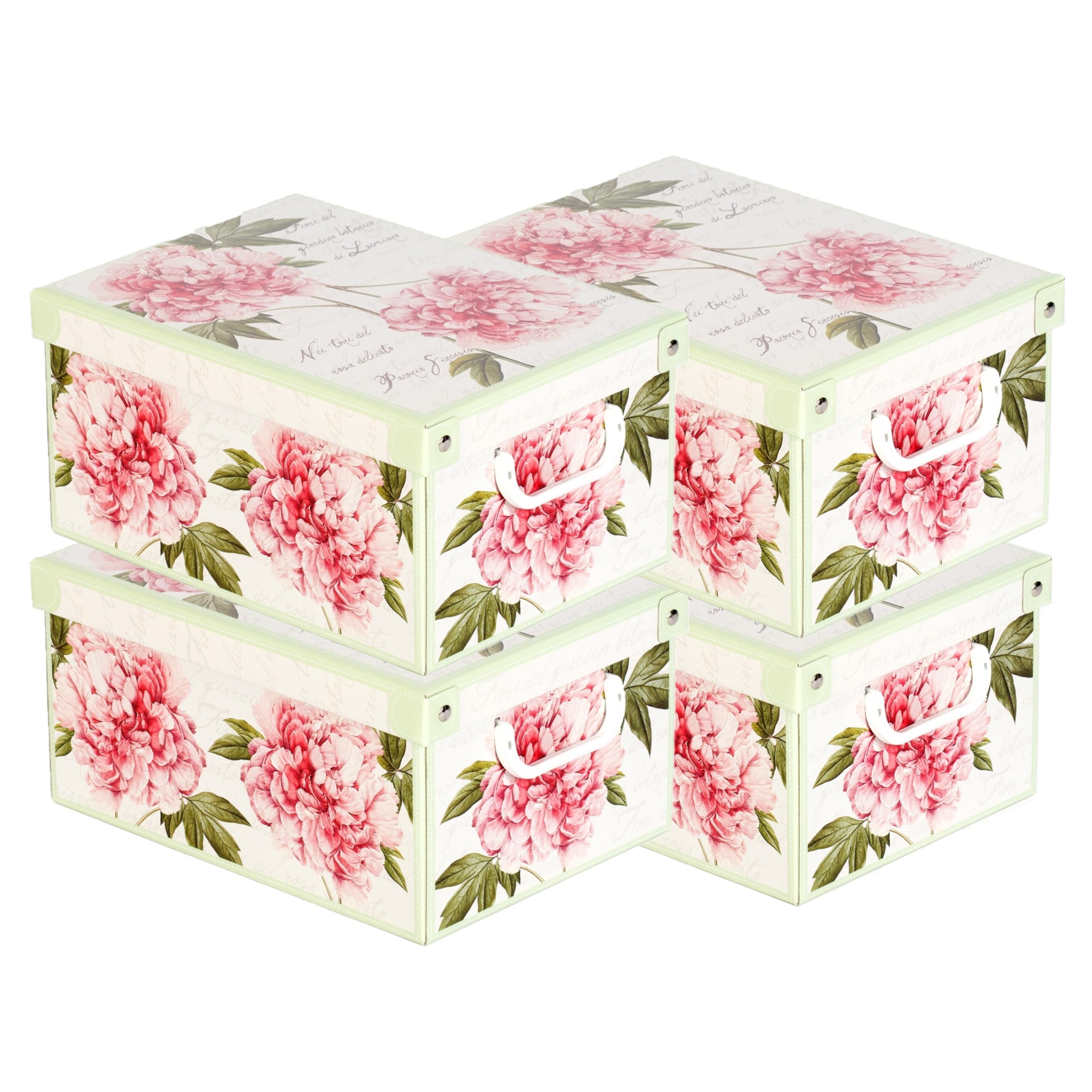 Lavatelli Peonie Piccola scatole armadio set 4 pezzi 25x35 cm