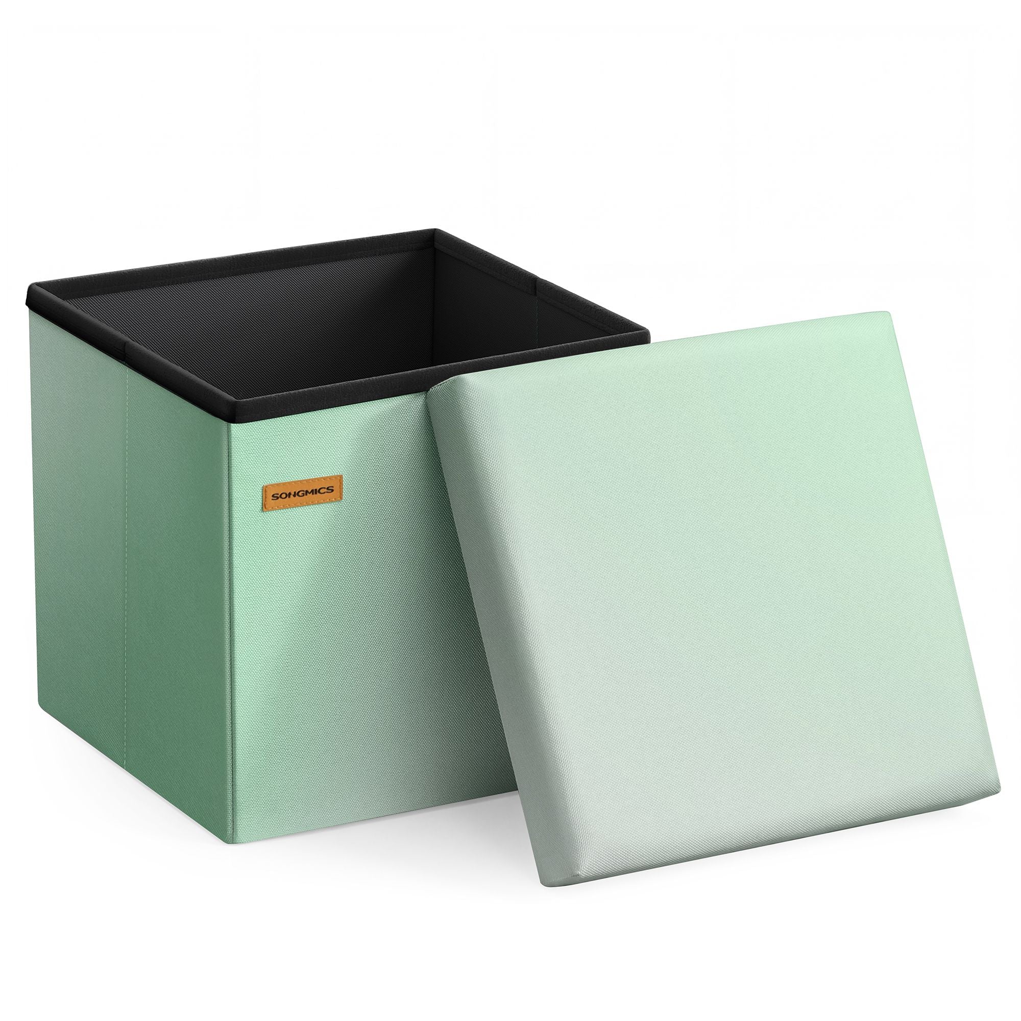 SONGMICS Pouf contenitore pieghevole salvaspazio
