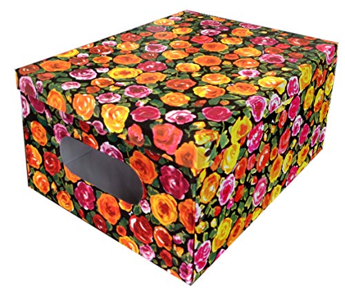 Lavatelli Kanguru scatola PVC 40x50x25 cm con finestra