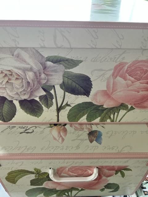 Lavatelli Rose scatole armadio cartone 49x40x24 set 2 pezzi