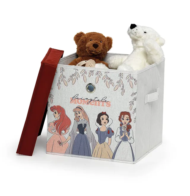 DOMO PAK LIVING Disney Princess Cubo Contenitore 30x30 con Coperchio