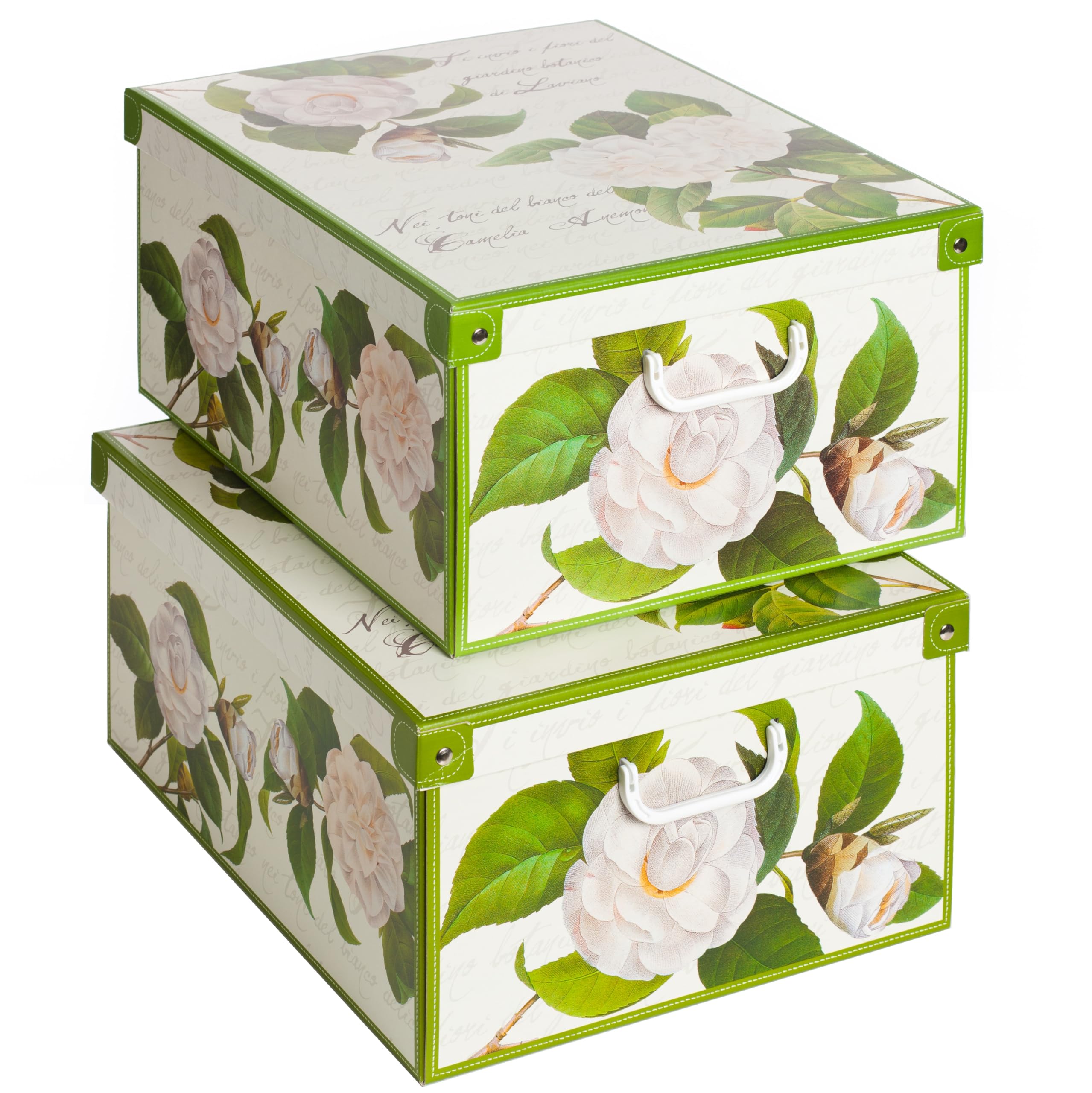 Lavatelli Camelie scatole armadio cartone 49x40x24 set 2 pezzi