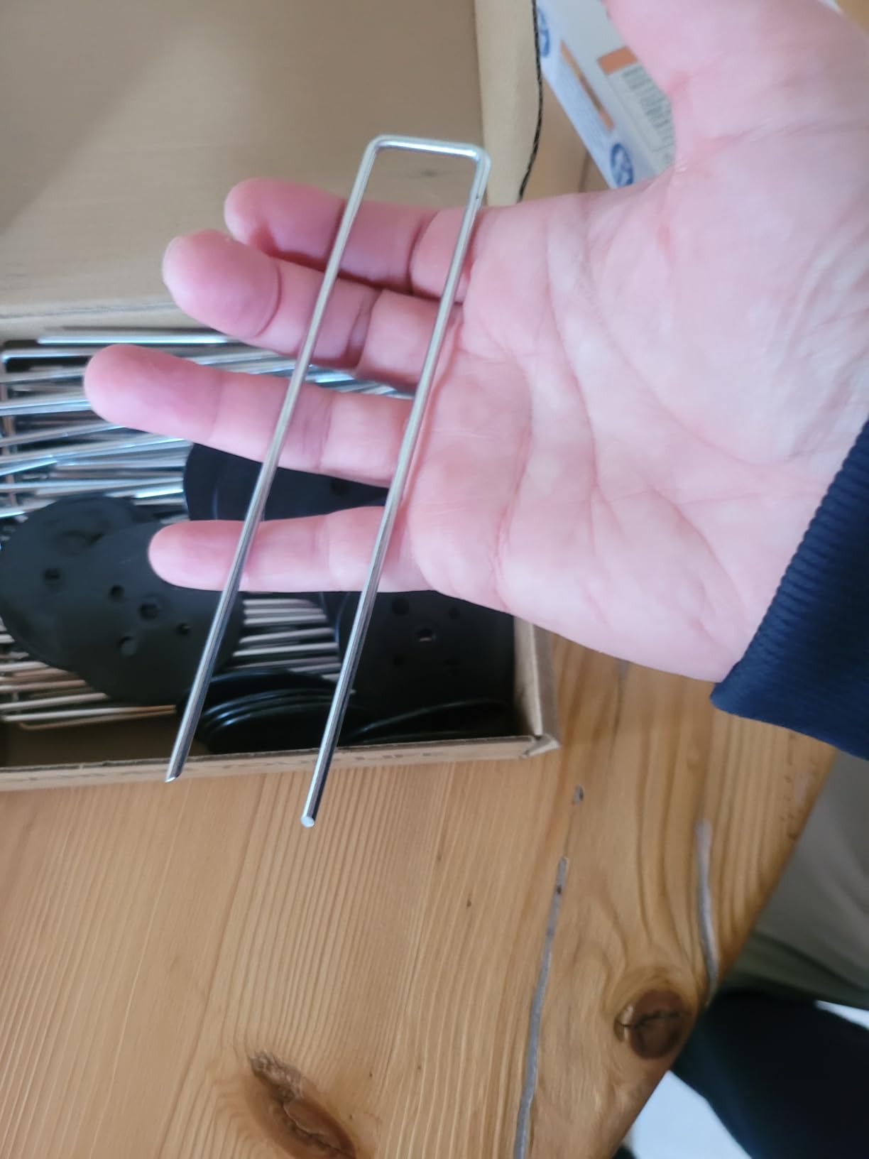 Ediesi picchetti giardino a U acciaio 50 pezzi 15 cm antiruggine