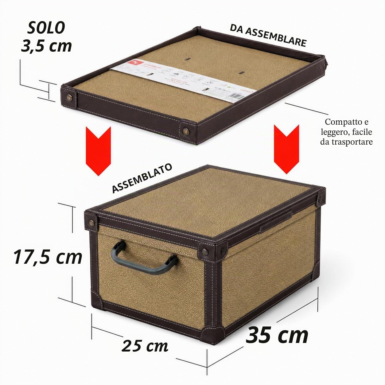 Lavatelli Tapirus Scatole Armadio 35x25x17,5 Set 4 Cartone