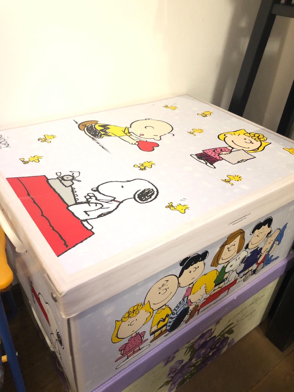 Lavatelli Snoopy Celeste scatola cartone con coperchio 50x39x24 cm