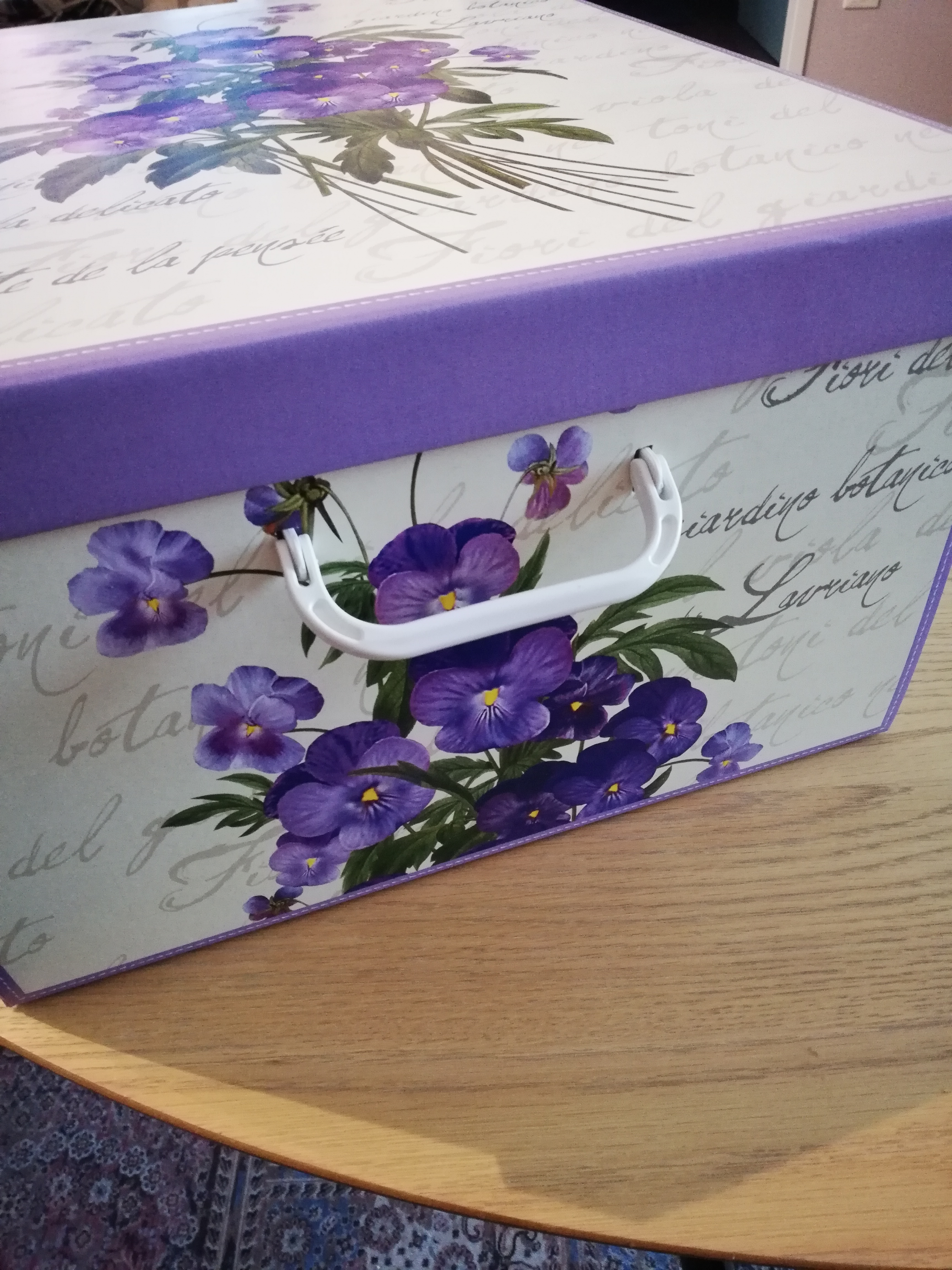 Lavatelli Scatola Armadio Grande Cartone Violetta 50x39x24