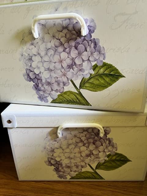 Lavatelli Scatola Cartone Media Fiori Ortensie 32x42x17,5 cm