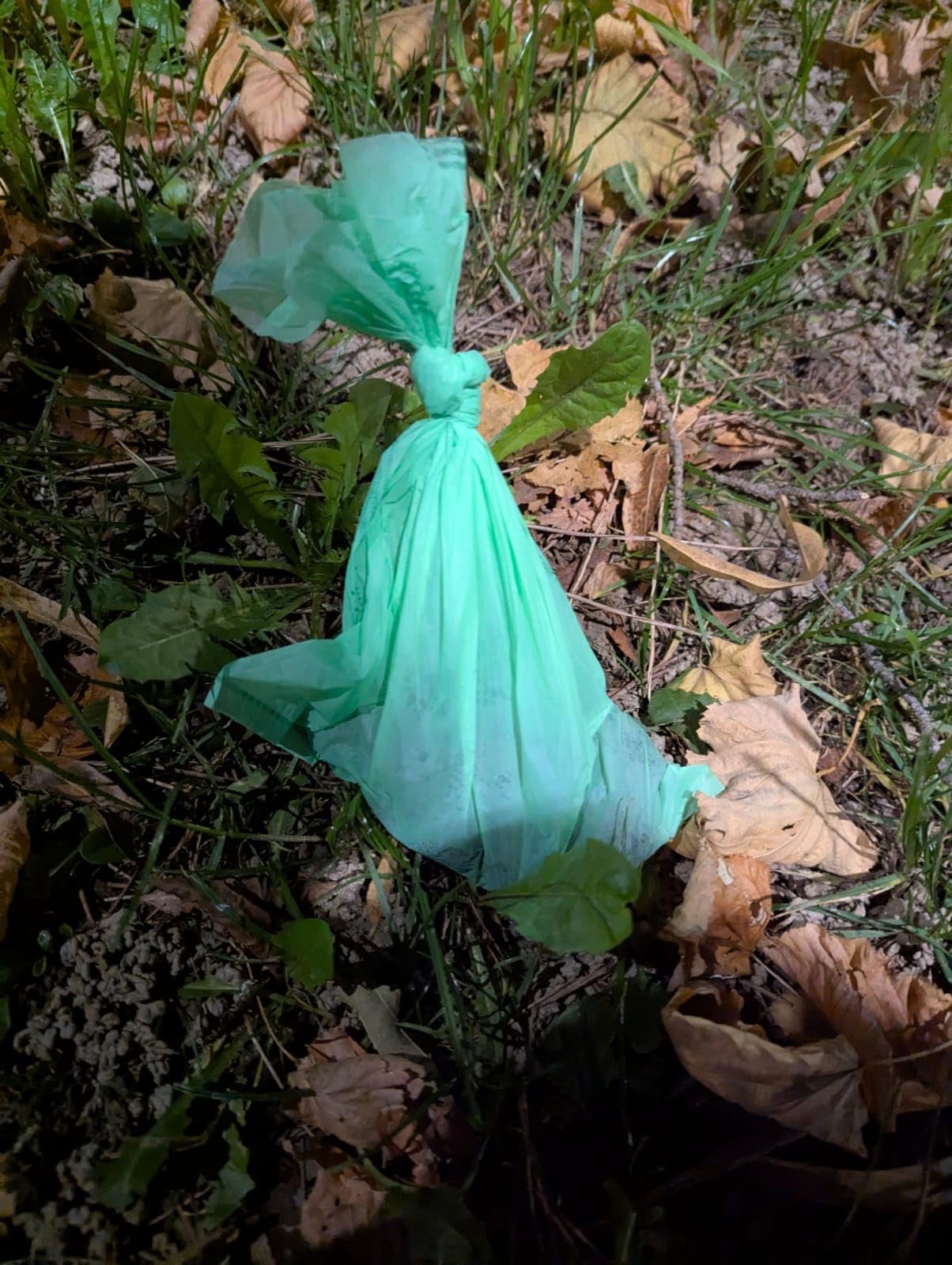 Lavatelli Compoo sacchetti cane verde 21,5x29 cm 300 pezzi