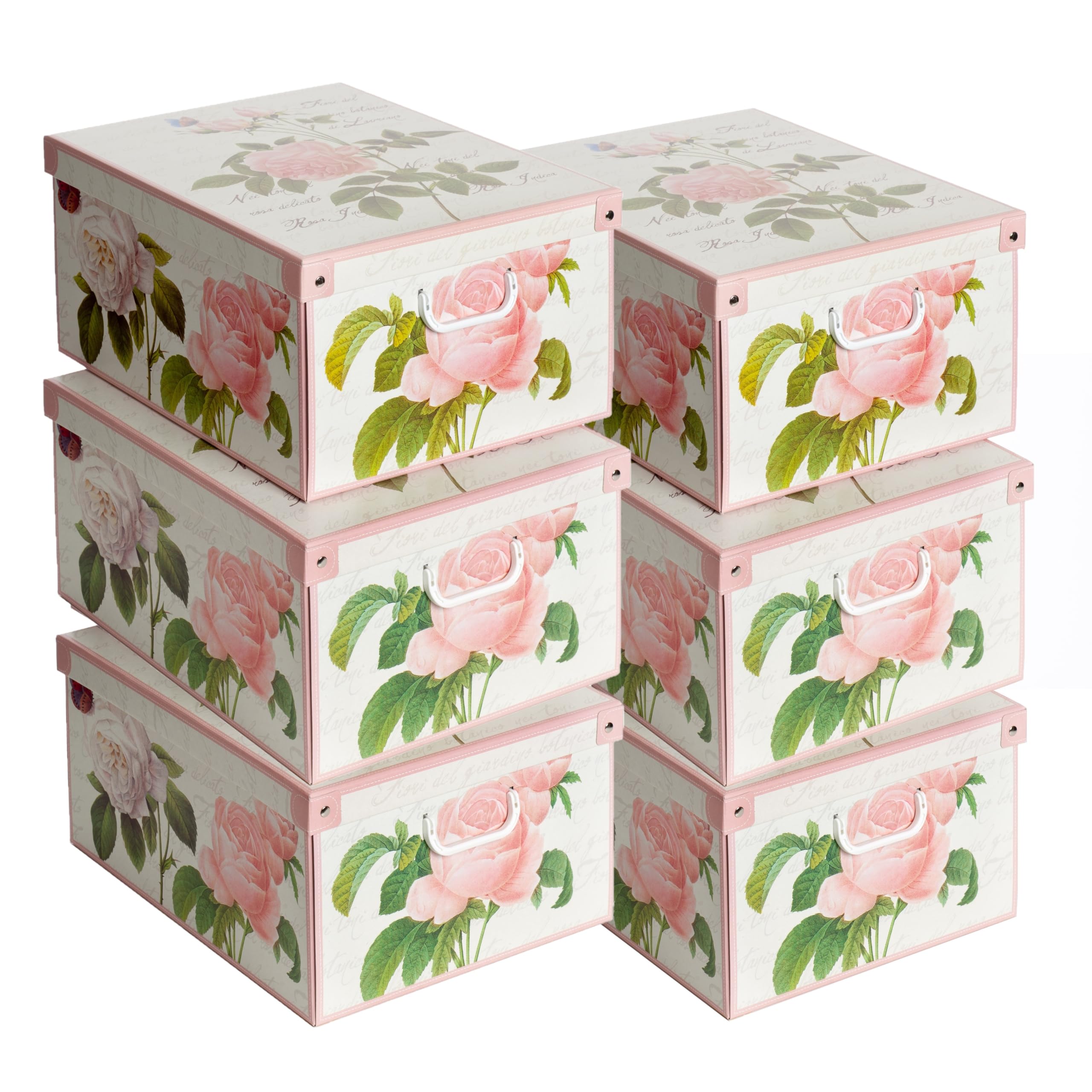 Lavatelli Set 6 Scatole Armadio 39x50x24 Rose Cartone