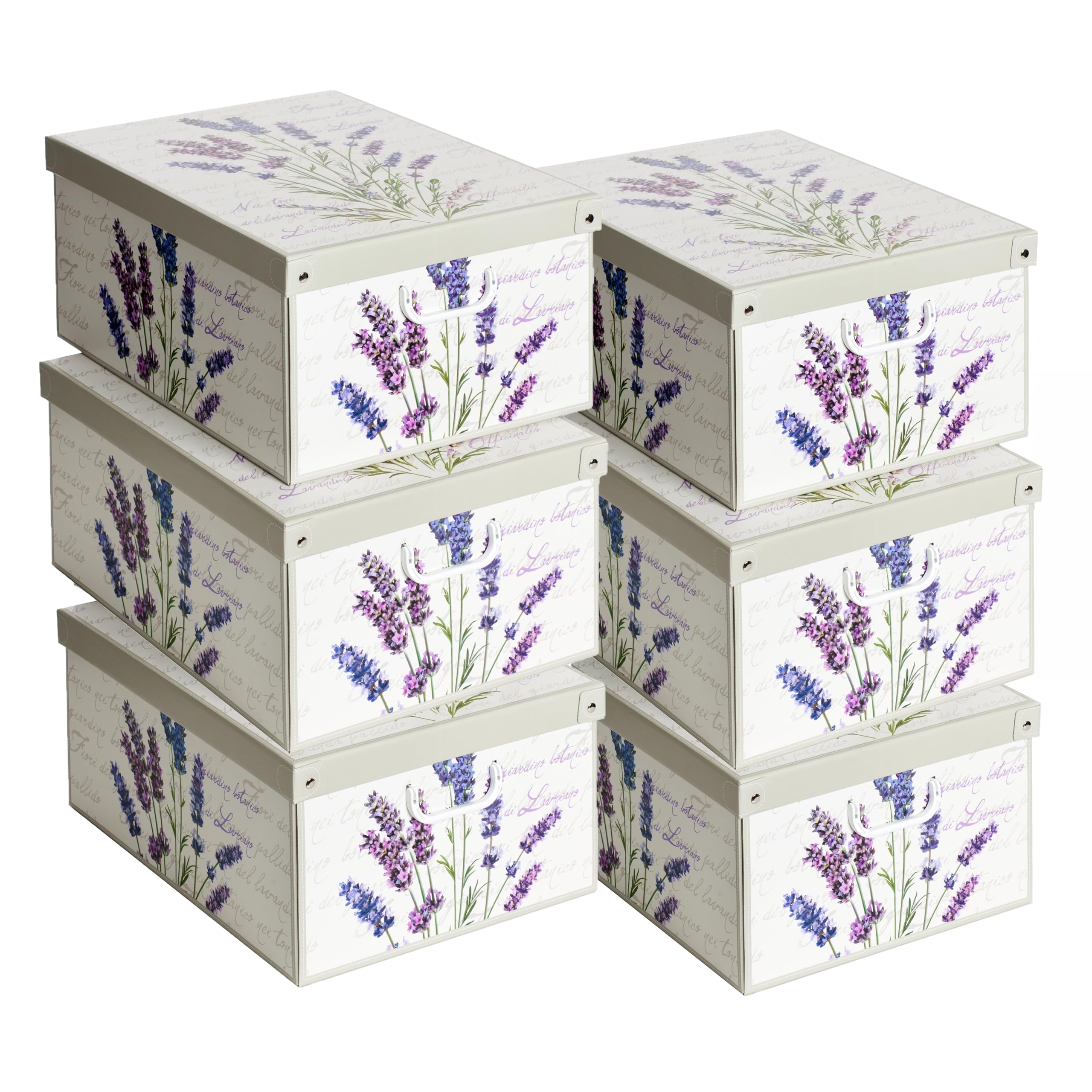 Lavatelli Organizer Armadio Scatole Lavanda 39x50x24 cm 6 Pezzi