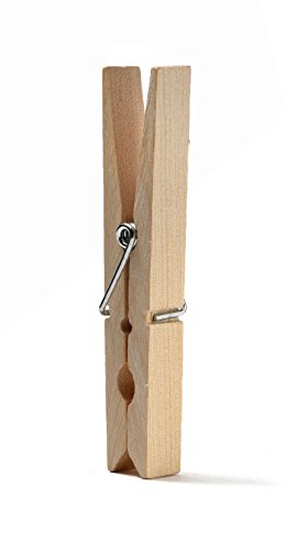 Domopak Living mollette bucato legno naturale 12 pezzi antiruggine
