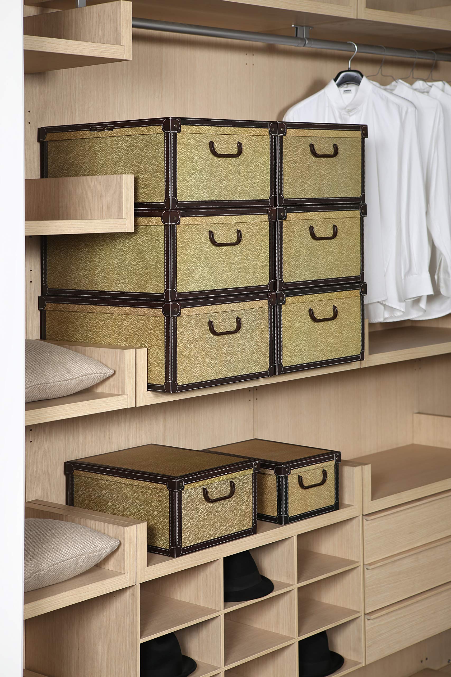 Lavatelli Kanguru Tapirus scatola 32x42x21 cartone