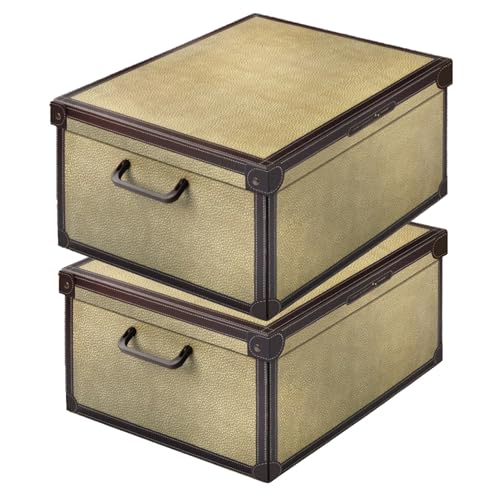 Lavatelli Tapirus scatole armadio 32x42x21 set 2 pezzi