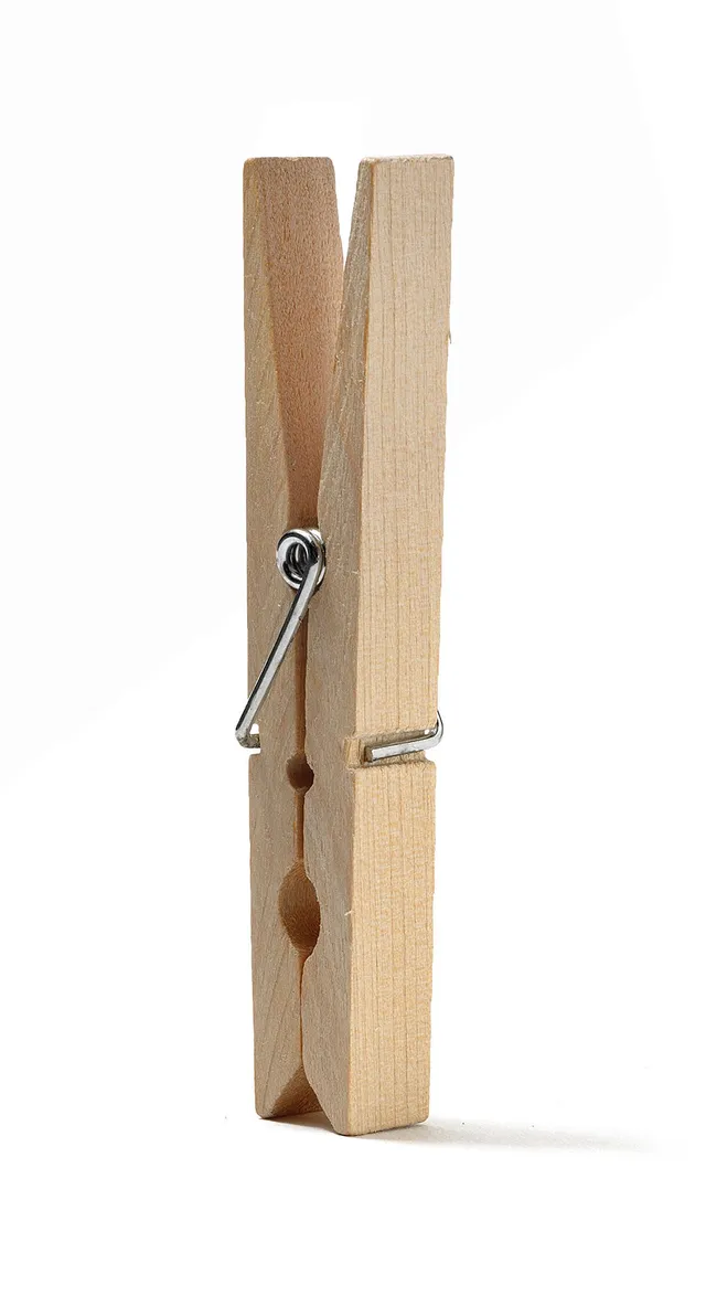 Domopak Living mollette bucato legno naturale 12 pezzi antiruggine