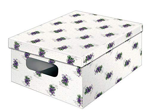 Lavatelli Kanguru scatola PVC 40x50x25 cm con finestra