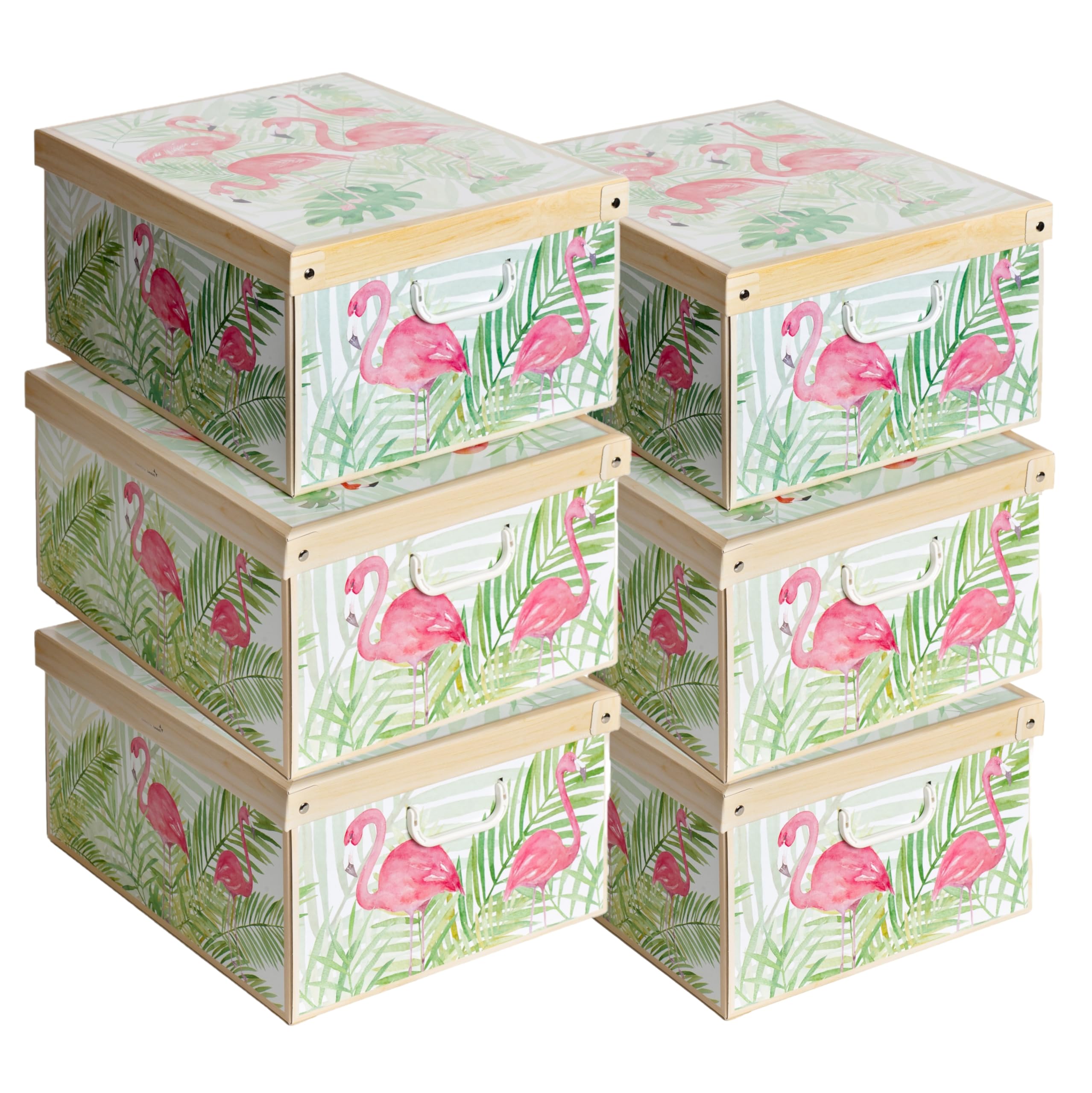 Lavatelli Fenicotteri Scatole Armadio 39x50x24 Set 6 Cartone