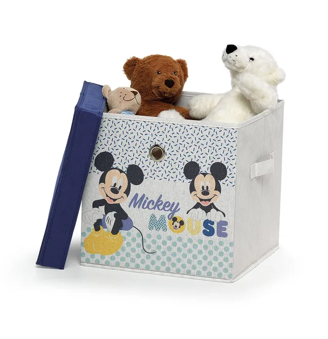 DOMO PAK LIVING Disney Mickey Cubo Contenitore 30x30 con Coperchio