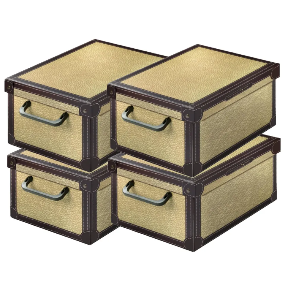 Lavatelli Tapirus Scatole Armadio 35x25x17,5 Set 4 Cartone