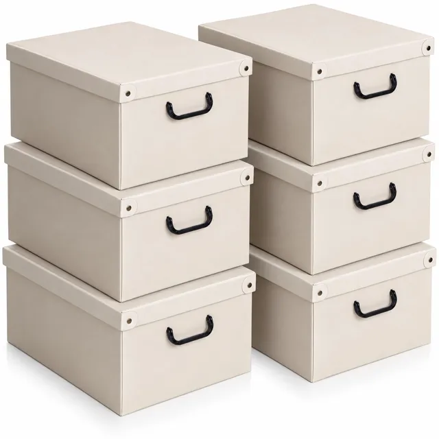 Lavatelli Scatole Organizer Armadio Grande Beige Set 6 da 45L