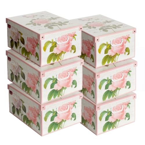Lavatelli Set 6 Scatole Armadio 39x50x24 Rose Cartone