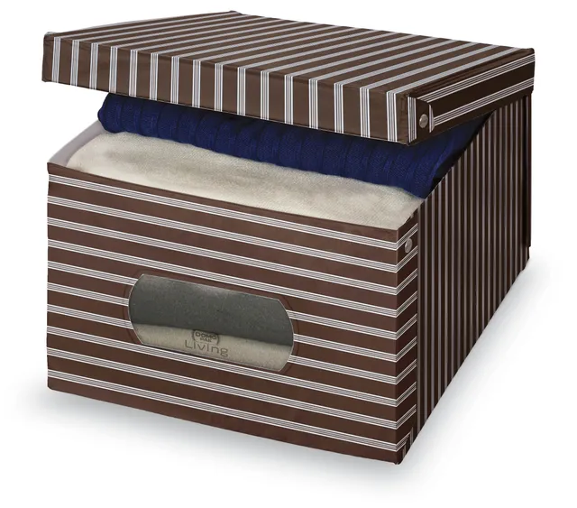 Domopak Living 916080 Scatola Guardaroba 39x50x24 Marrone