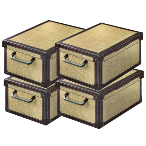 Lavatelli Tapirus Scatole Armadio 35x25x17,5 Set 4 Cartone