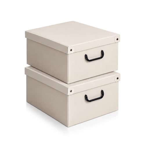 Lavatelli Set 2 Scatole Armadio 32x42x17,5 cm Beige Resistenti