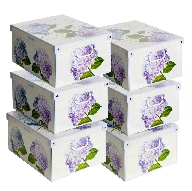 Lavatelli Ortensie scatole armadio cartone 39x50x24 cm set 6 pezzi