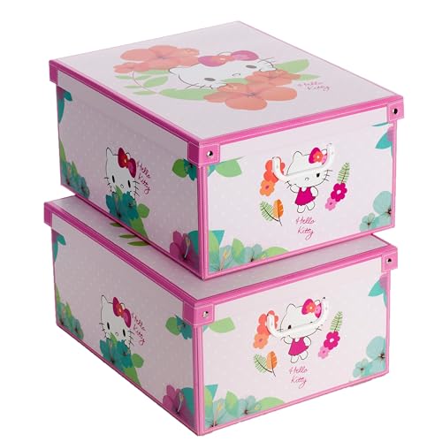 Hello Kitty scatole cartone armadio 49x40x24 2 pezzi