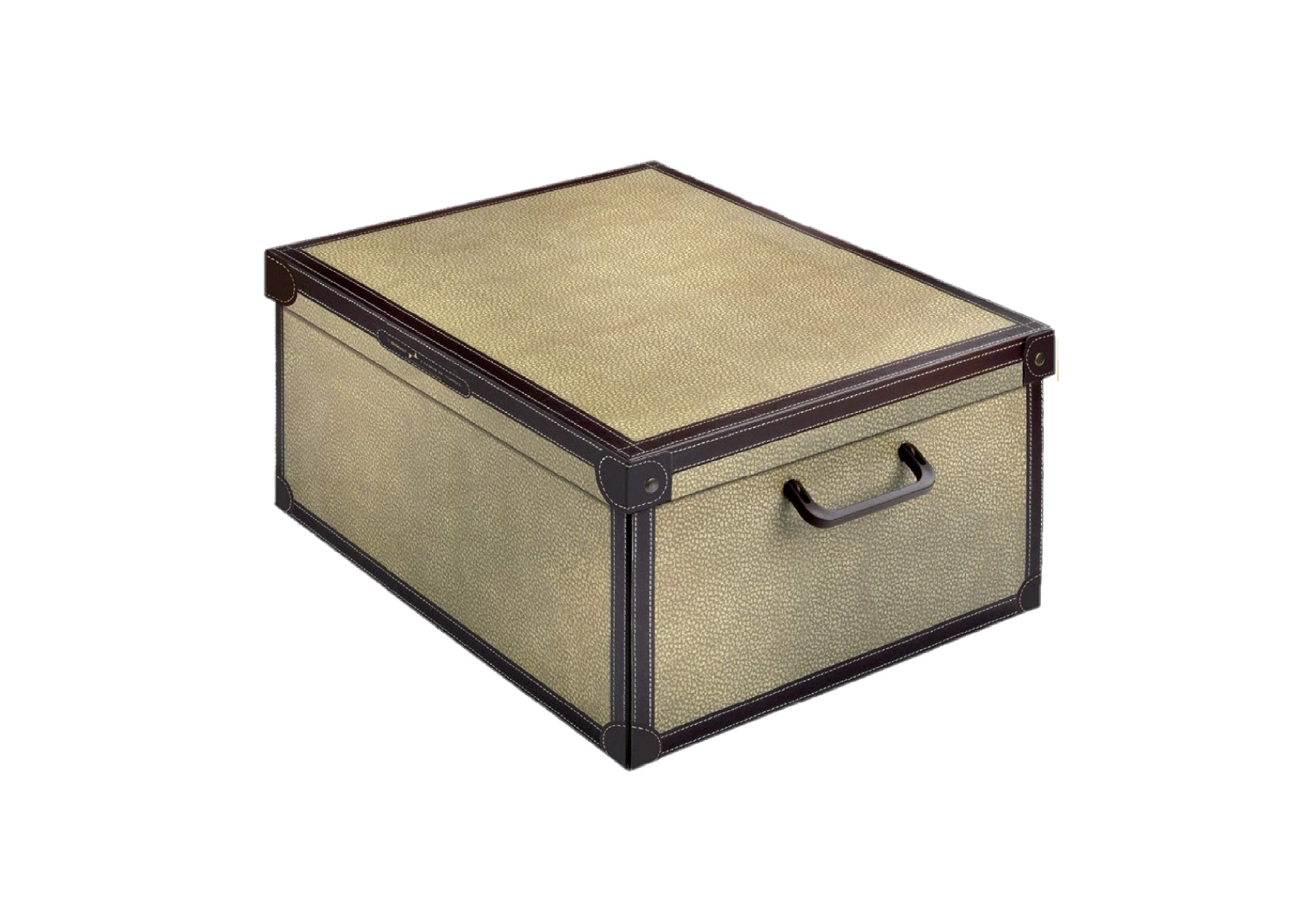 Lavatelli Kanguru Tapirus scatola 32x42x21 cartone