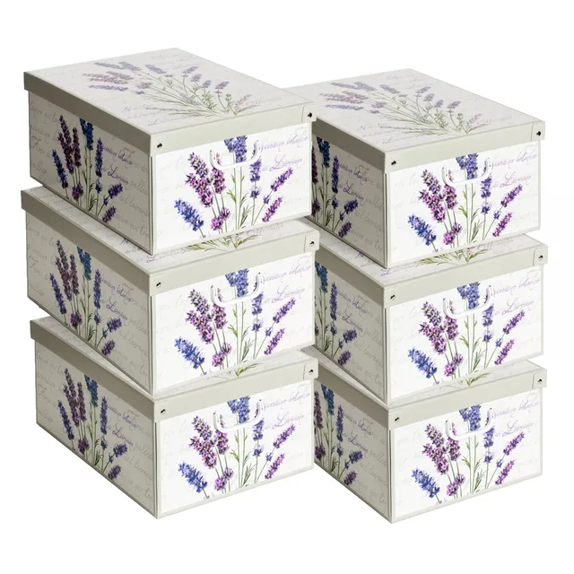Lavatelli Organizer Armadio Scatole Lavanda 39x50x24 cm 6 Pezzi