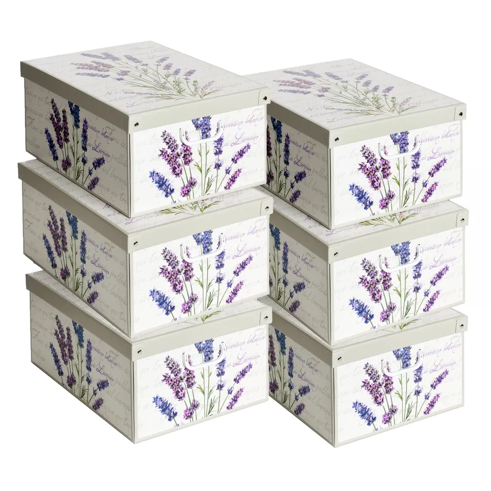 Lavatelli Organizer Armadio Scatole Lavanda 39x50x24 cm 6 Pezzi