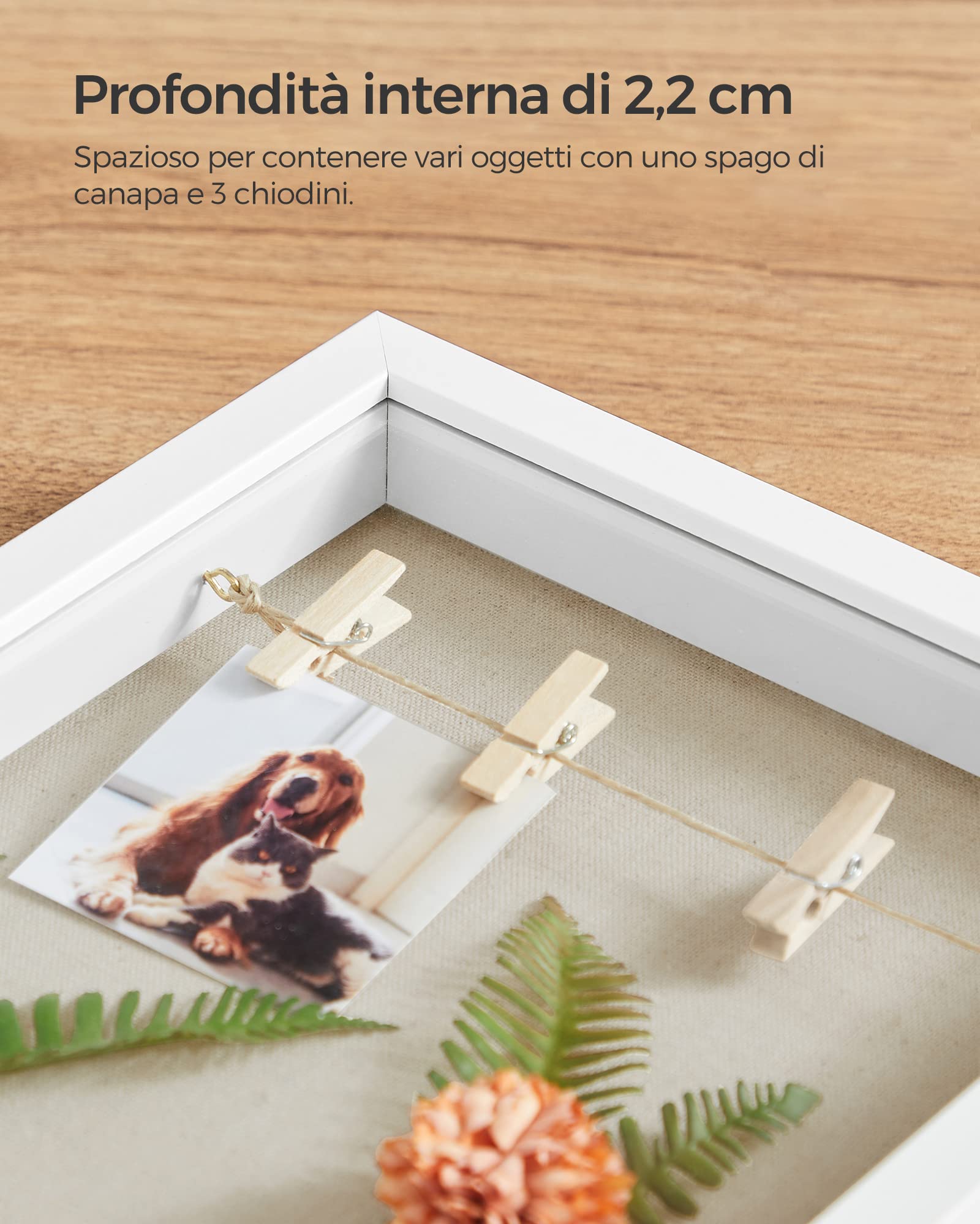 Songmics RPF007W01 cornice profonda bianca 22,5x27,5 cm