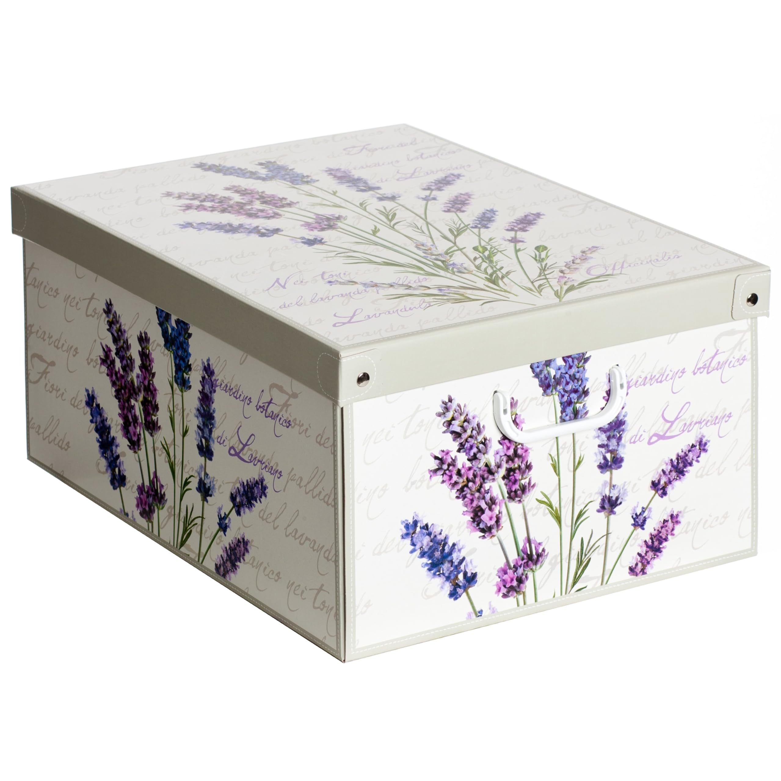 Lavatelli Organizer Armadio Scatole Lavanda 39x50x24 cm 6 Pezzi