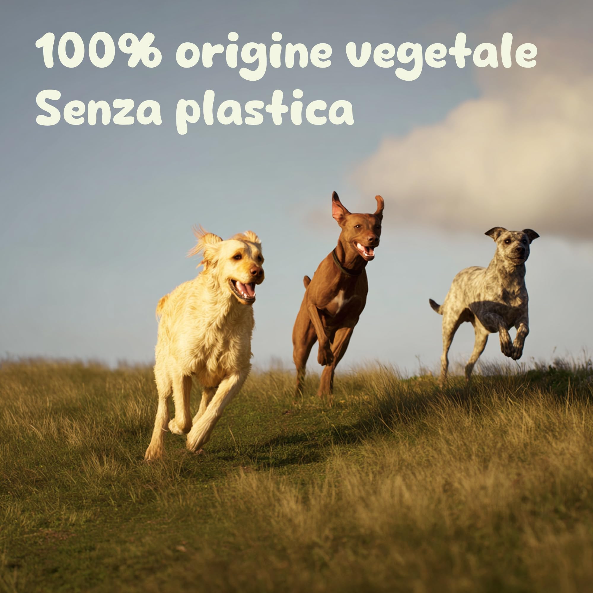 Lavatelli Compoo sacchetti cane verde 21,5x29 cm 300 pezzi