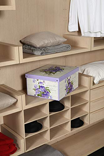Lavatelli Scatola Armadio Grande Cartone Violetta 50x39x24