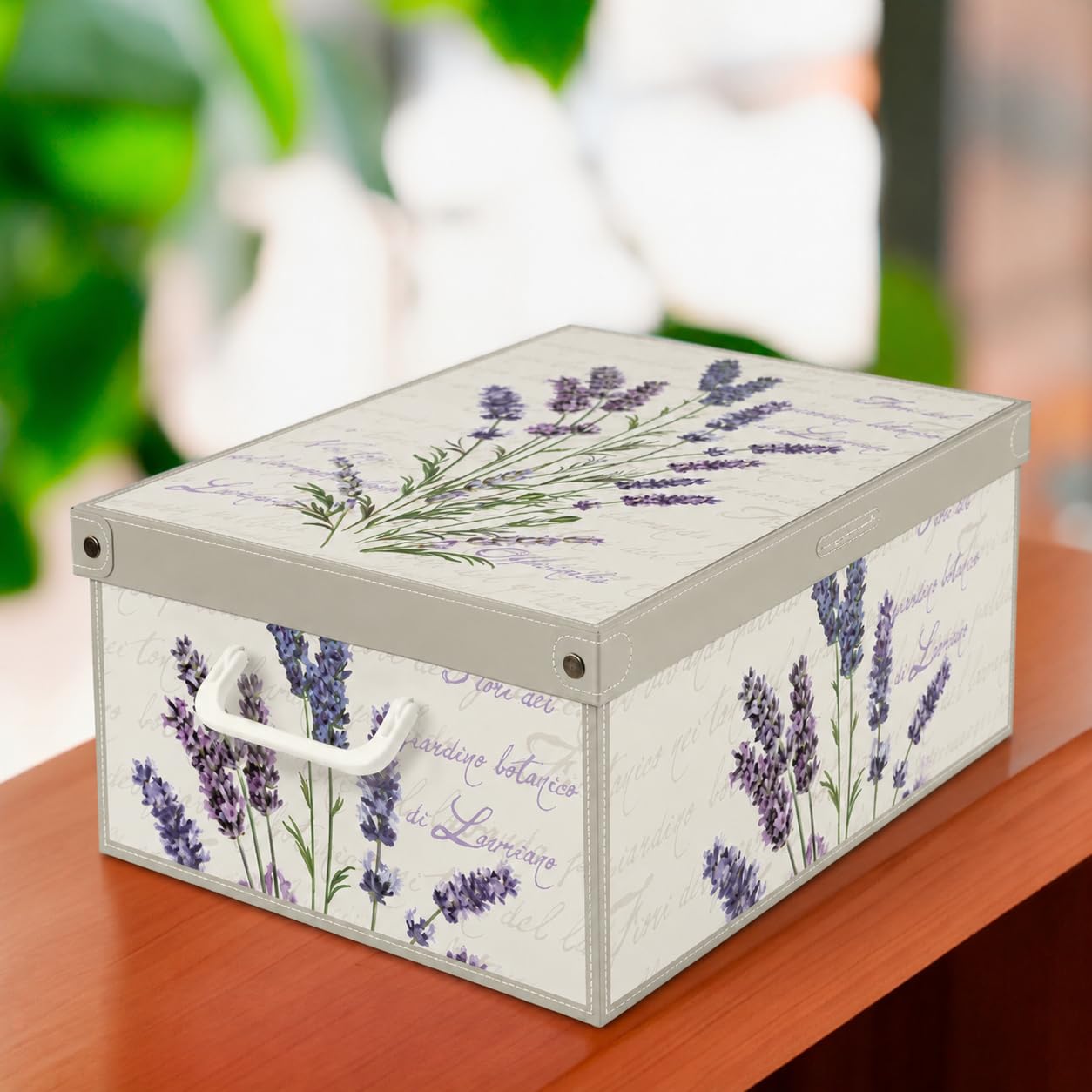 Lavatelli Lavanda scatole armadio cartone 25x35x17,5 cm set 4 pezzi