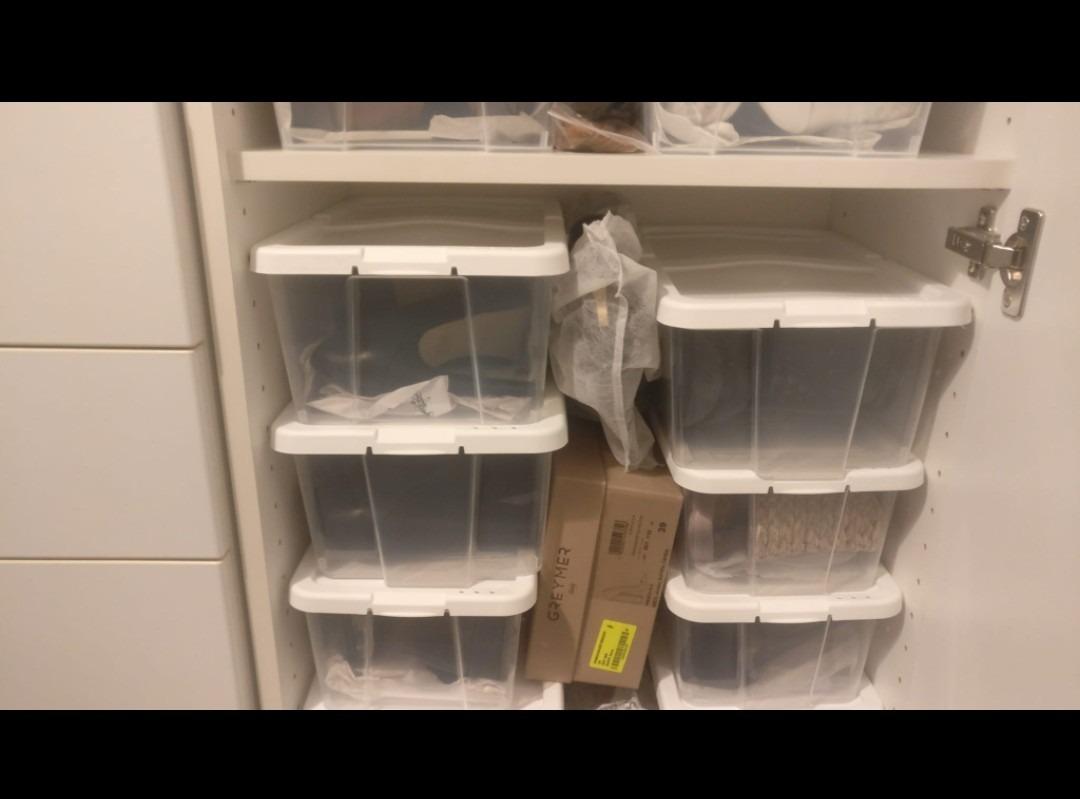 Songmics scatole scarpe trasparenti 12 pezzi impilabili