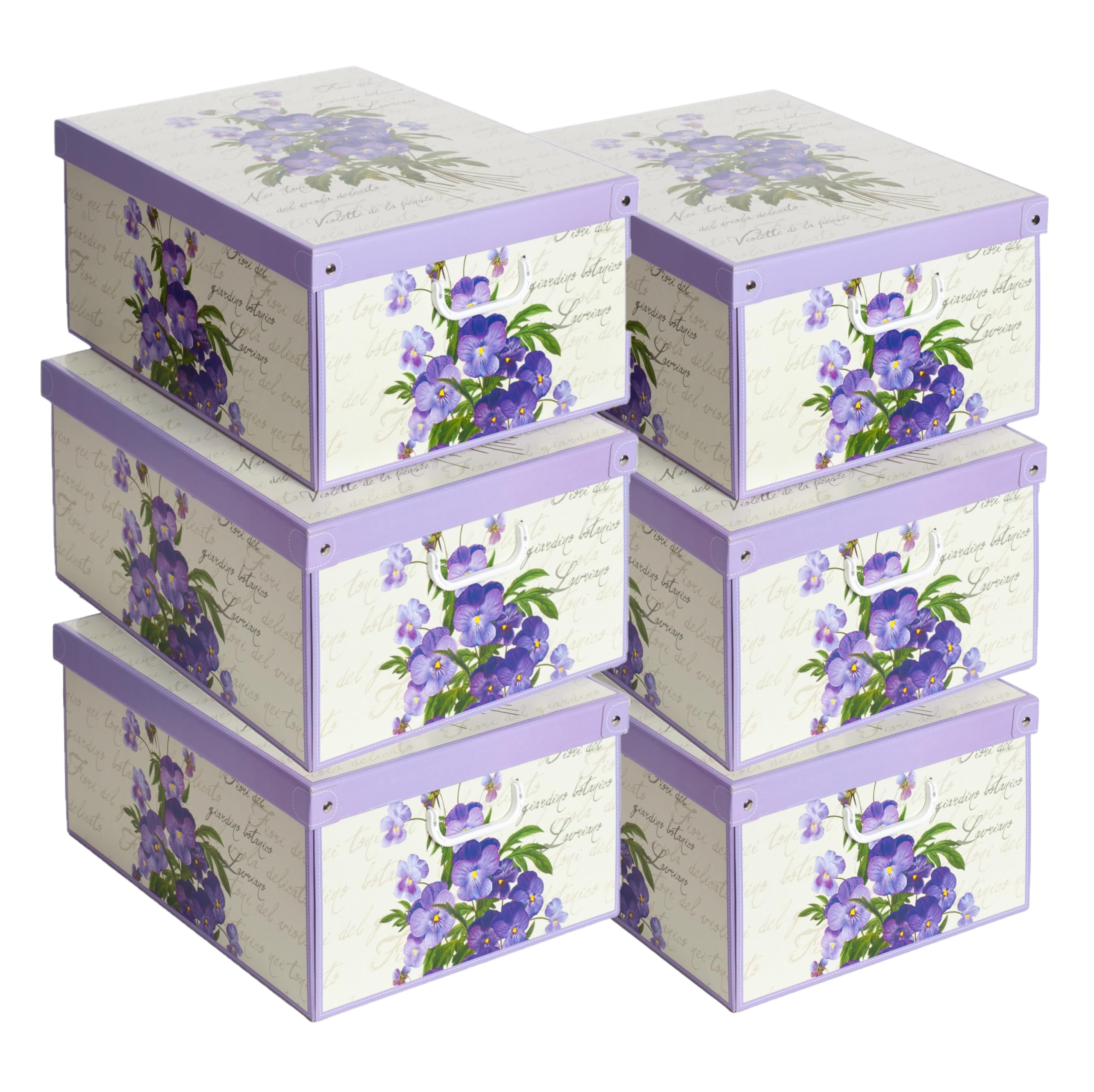 Lavatelli Violetta Scatole Profumate 39x50x24 Set 6 Cartone
