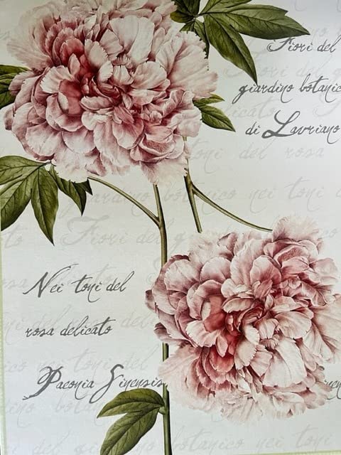 Lavatelli Scatola Cartone Media Fiori Ortensie 32x42x17,5 cm