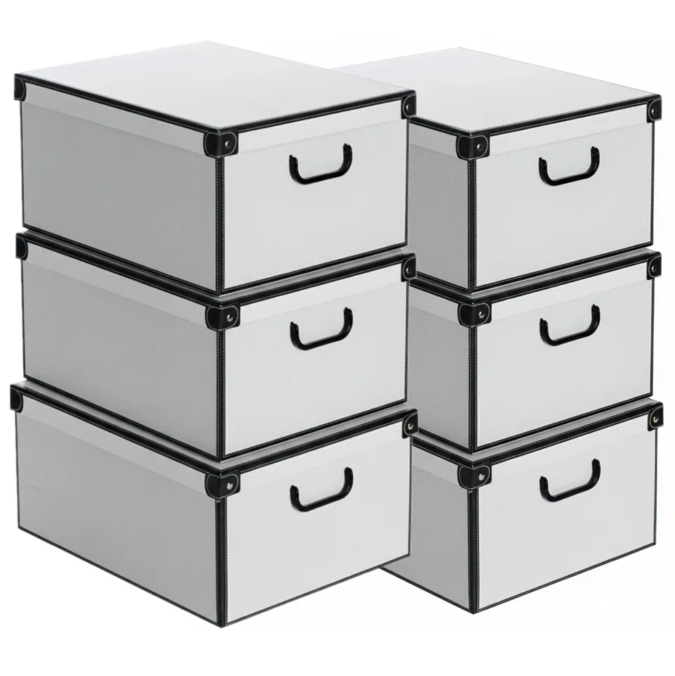 Lavatelli Set 6 Scatole Armadio 39x50x24 cm Muschio Bianco Cartone