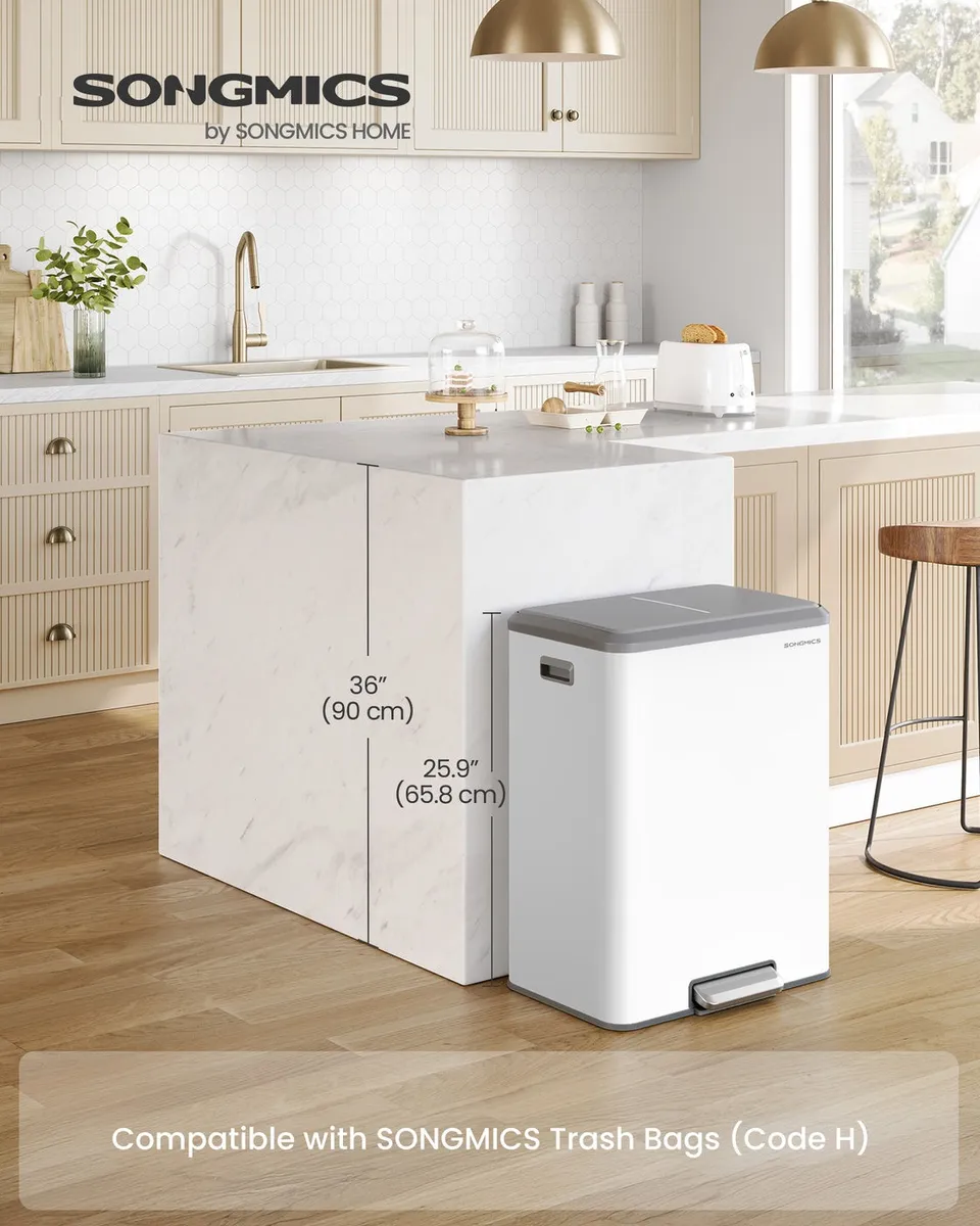 Songmics Pattumiera Doppia Acciaio 60 L Doppio Pedale