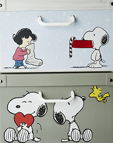 Lavatelli Snoopy Mix scatole armadio cartone 49x40x24 cm 2 pezzi