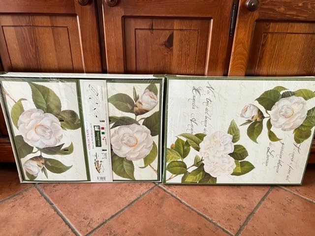 Lavatelli Camelie scatole armadio cartone 49x40x24 set 2 pezzi