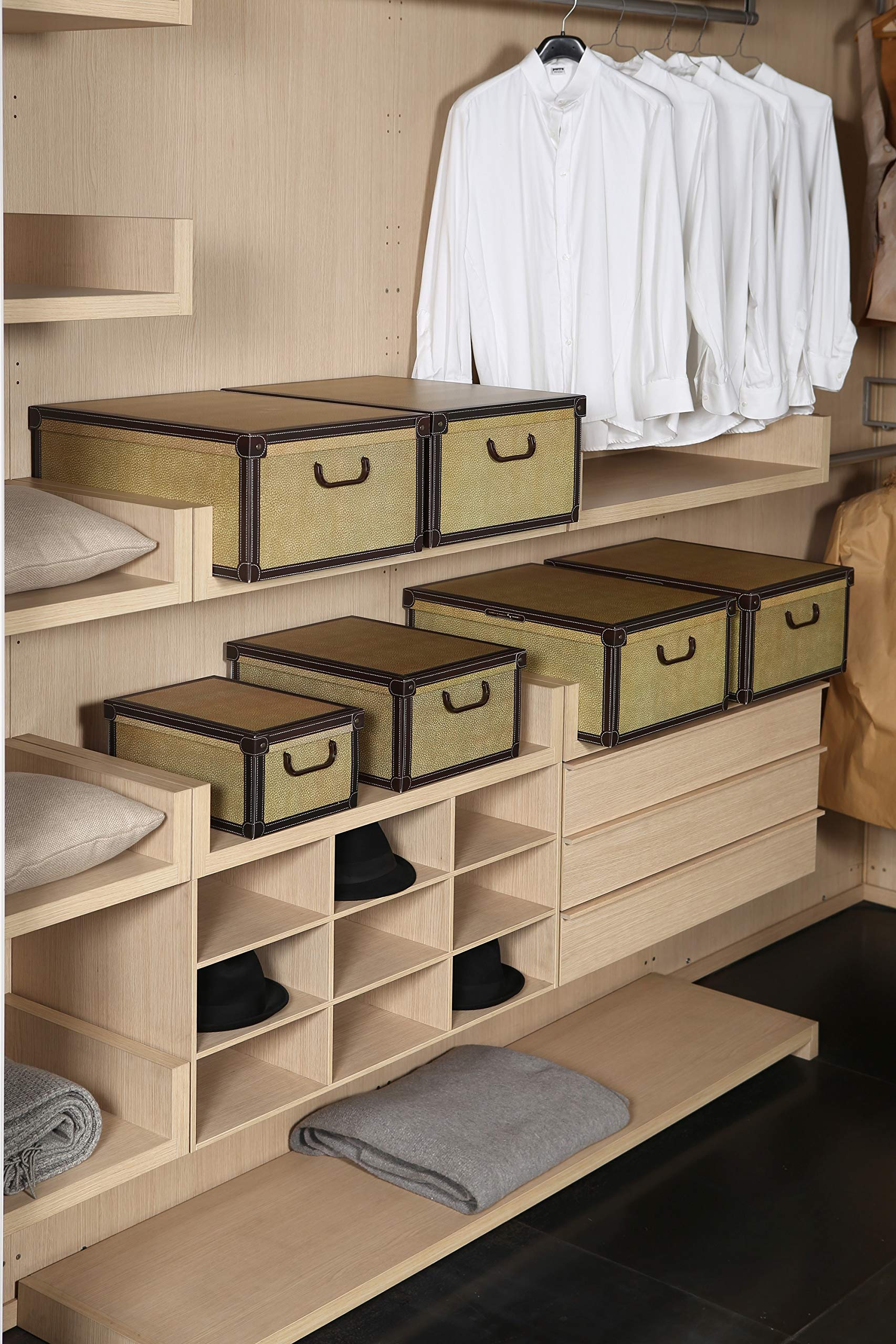 Lavatelli Kanguru Tapirus scatola 32x42x21 cartone