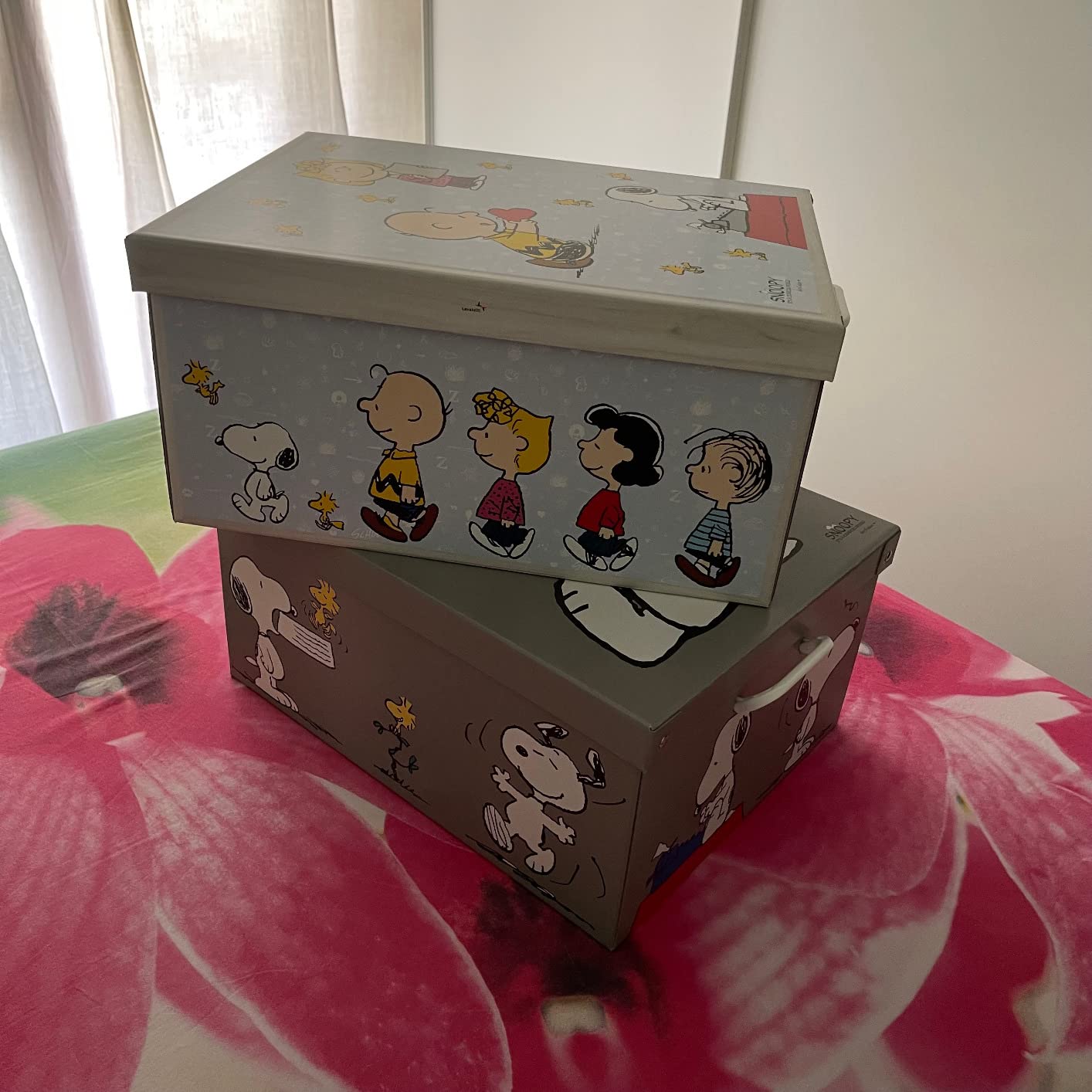 Lavatelli Snoopy Mix scatole armadio cartone 49x40x24 cm 2 pezzi