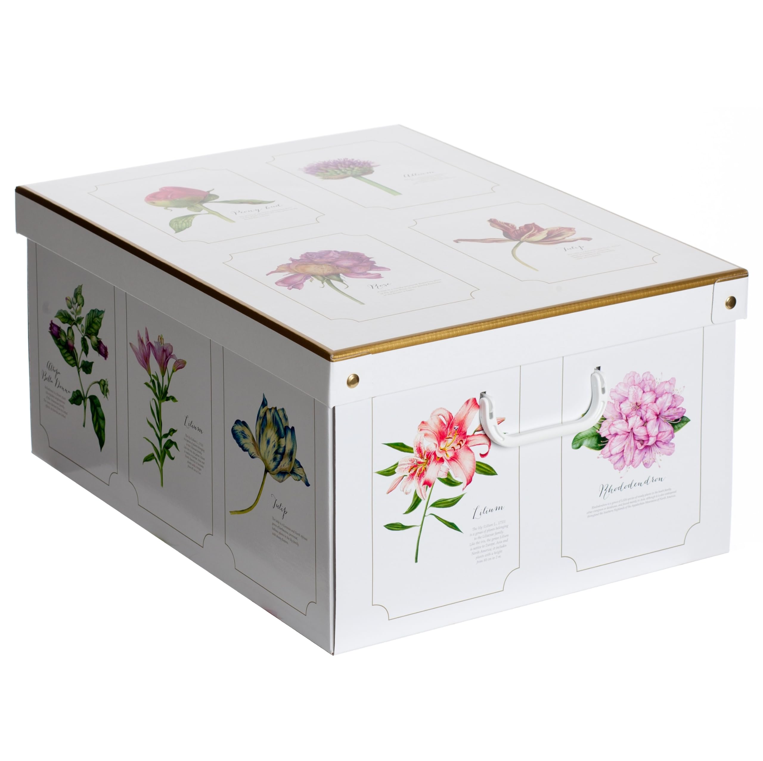 Lavatelli Camelie scatola armadio 50x39x24 cm cartone coperchio