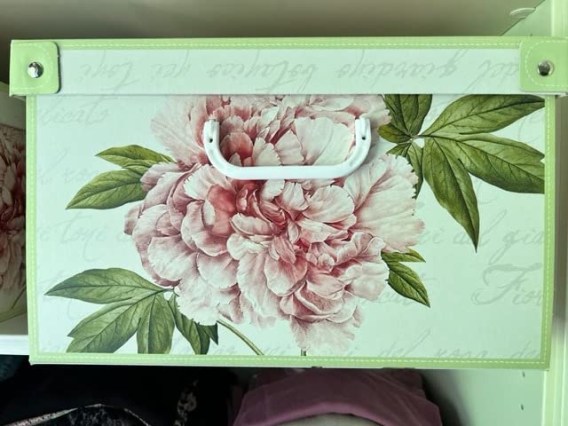 Lavatelli Scatola Cartone Media Fiori Ortensie 32x42x17,5 cm